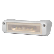 Load image into Gallery viewer, Lumitec Perimeter Light - White Finish - White/Red Dimming [101477]

